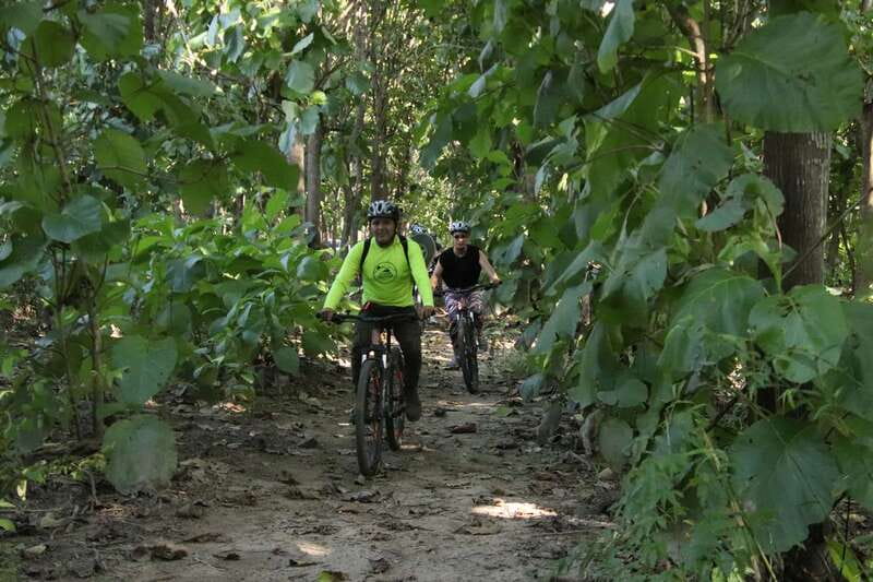 From Puerto Vallarta: Jungle Mountain Bike Tour - Trading Puerto Vallarta Roads for Sierra Air