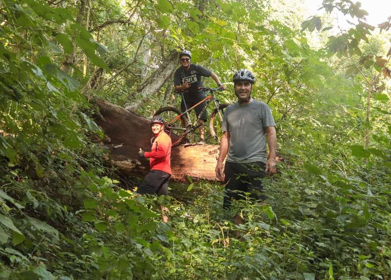From Puerto Vallarta: Jungle Mountain Bike Tour - Who this tour fits best (and where it can miss)
