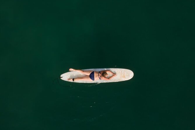 From Sayulita: Surf Trip to La Lancha Beach -all ages & levels - The jungle trail to the beach (and the one thing to plan for)