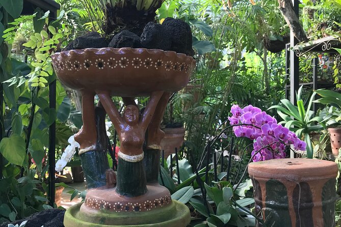 Full Day Puerto Vallarta Botanical Garden Tour - Wilder Outer Trails: When the Hike Becomes the Point