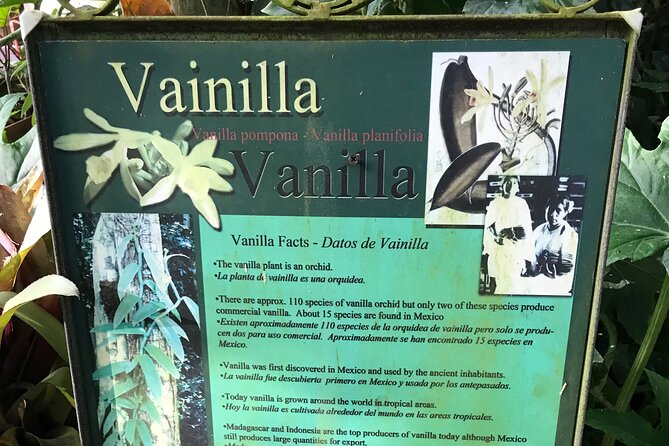 Full Day Puerto Vallarta Botanical Garden Tour - River Canyon Time: Boulder Rest and Optional Swimming