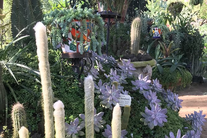 Full Day Puerto Vallarta Botanical Garden Tour - Jardin Botanico de Vallarta: Two Hours With an Expert Naturalist