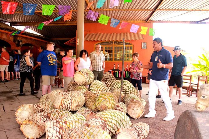 Full-Day Puerto Vallarta City Highlights Tour - Who this tour fits best (and who should skip it)