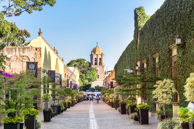 Full-Day Tequila, Jalisco from Puerto Vallarta with Tequila Experience - Key highlights and what they mean in real life