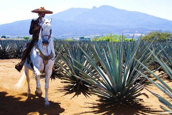 Full-Day Tequila, Jalisco from Puerto Vallarta with Tequila Experience - Stop 2: Jose Cuervo Forum and the tour format