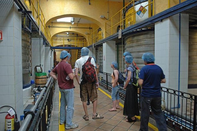 Full-Day Tequila, Jalisco from Puerto Vallarta with Tequila Experience - Breakfast, tequila testing, and how to pace your taste buds