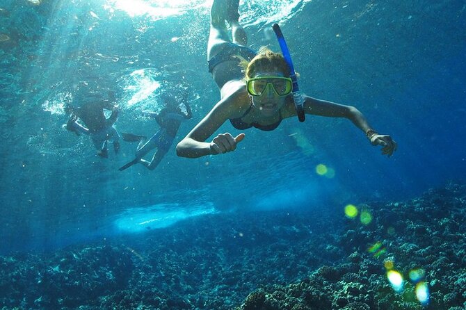 Full Day Tour Isla Marietas with Meals and Open Bar - What you might see on the water (besides fish)