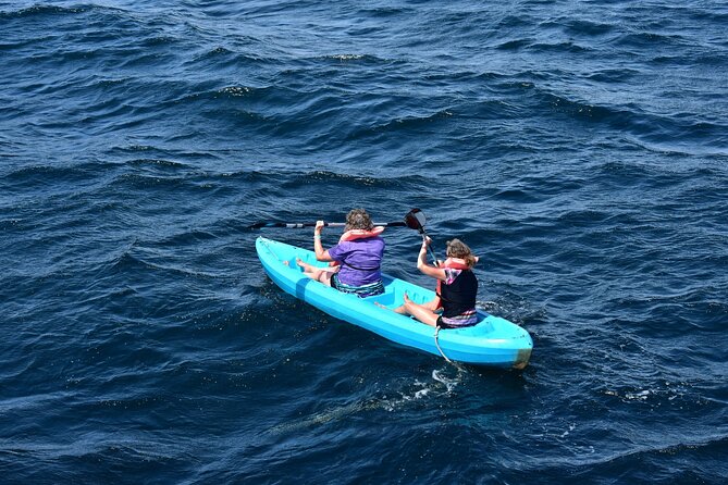 Half-Day Tour to Marietas Islands, Playa Nopalera by Speedboat - Price and the add-on fees that can surprise you