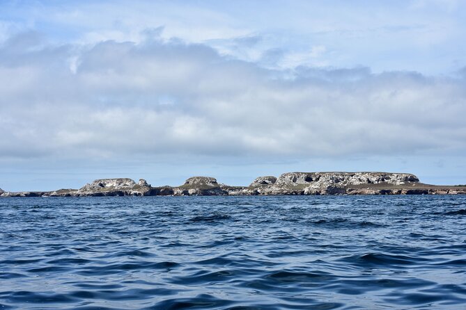 Half-Day Tour to Marietas Islands, Playa Nopalera by Speedboat - Should you book this Marietas and Playa Nopalera speedboat tour?