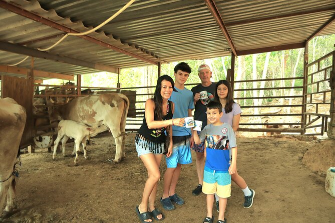 Hands-on Mexican Farm Experience: from Cow to Cheese - Key Things I’d Watch For Before You Go