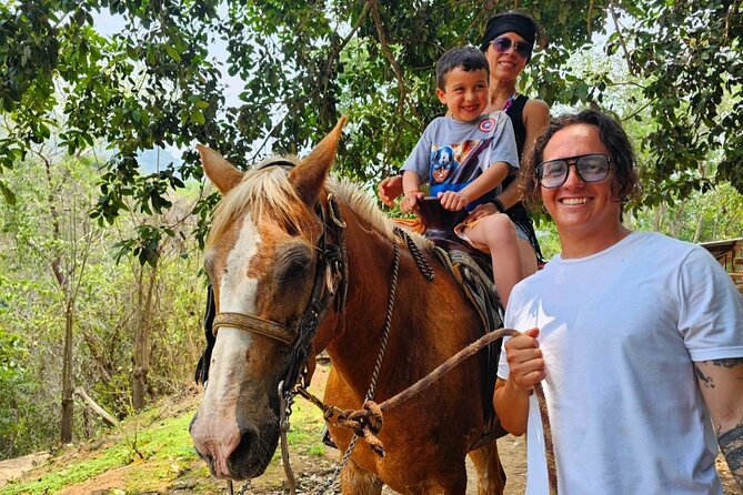 Hands-on Mexican Farm Experience: from Cow to Cheese - A Mountain Farm Day Away From Puerto Vallarta Beaches