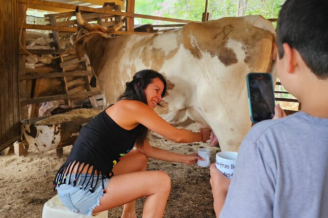 Hands-on Mexican Farm Experience: from Cow to Cheese - Natural Pools: Your Relax-Down Finish in the Outdoors