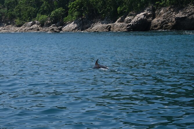 Hidden Beach Snorkeling Adventure - Back to Boca for Your Meal: The Value Depends on Your Booking Choice