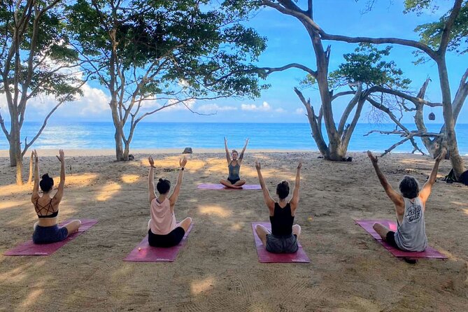 Hike and Yoga Jungle Experience in Mexico - From Meeting Point to Jungle Trail in Sayulita