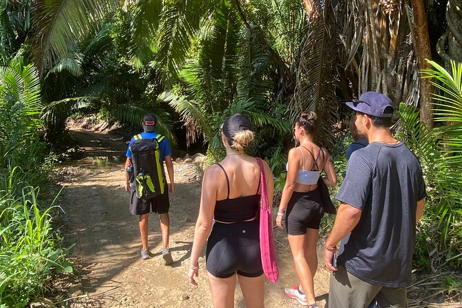 Hike and Yoga Jungle Experience in Mexico - The 1.5-Mile Jungle Hike: Views, Plants, and Watch Your Step