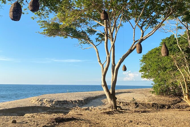 Hike and Yoga Jungle Experience in Mexico - Value Check: Why $30 Feels Like a Deal