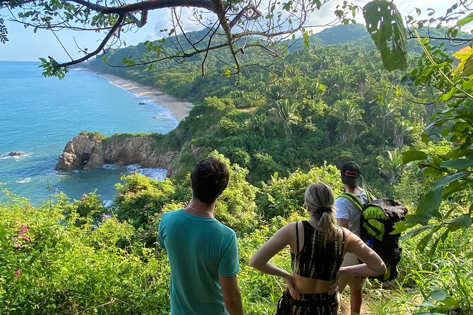 Hike and Yoga Jungle Experience in Mexico - Who Should Book This Tour (and Who Might Skip It)