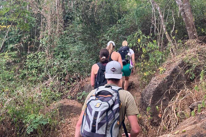 Hike to Monkey Mountain (Transportation & fresh coconut Included) - Why Monkey Mountain works so well for a half-day