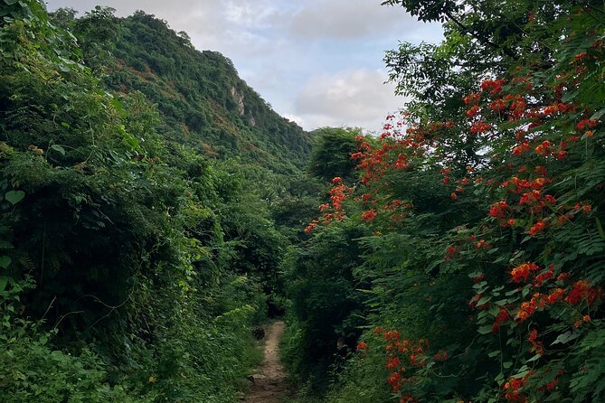 Hike to Monkey Mountain (Transportation & fresh coconut Included) - The summit moment: ocean views plus the fun scramble
