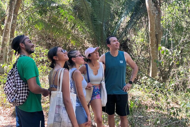 Hike to Monkey Mountain (Transportation & fresh coconut Included) - Getting to Higuera Blanca from Sayulita (without overthinking it)