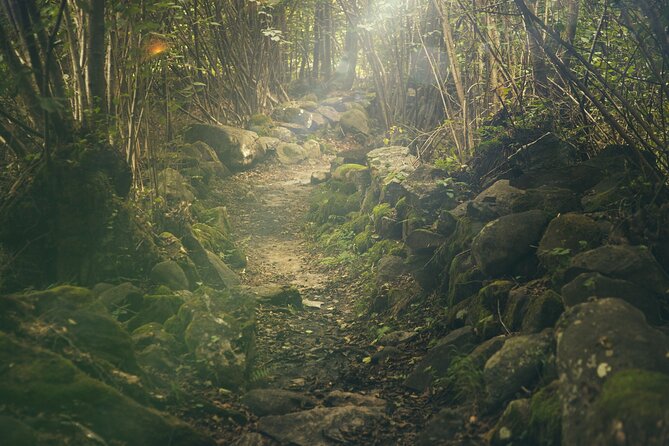 Hiking Adventure: River Trails & Waterfall Wonders - Waterfall Wonders: The Swim Moment You’ll Remember