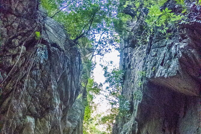Hiking Adventure: River Trails & Waterfall Wonders - Bilingual Guides and Small-Group Pacing: Why Names Keep Popping Up