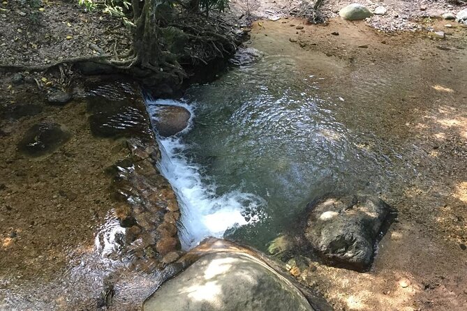 Hiking Adventure: River Trails & Waterfall Wonders - Price and Value: Is $77 Worth a 4-Hour Waterfall Hike?