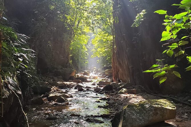Hiking Adventure: River Trails & Waterfall Wonders - What to Bring for a Wet, Active Morning