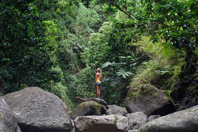 Hiking Adventure: River Trails & Waterfall Wonders - Who Should Book This Tour (and Who Should Think Twice)