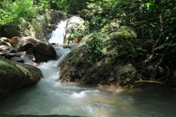 Hiking Adventure: River Trails & Waterfall Wonders - The River Trail: Expect Water, Stay in Control