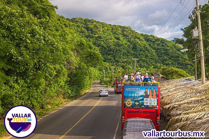 Hop On Hop Off Tour with Free Stops in Puerto Vallarta - Stop-by-stop: the north-to-south route that actually helps you plan