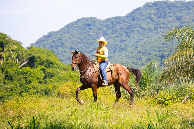 Horseback Riding Experience in Puerto Vallarta - Who this horseback-and-bridge tour fits best (and who should skip)