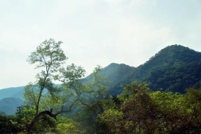 Horseback Riding Experience in Sierra Madre Mountains - Key Things You’ll Care About