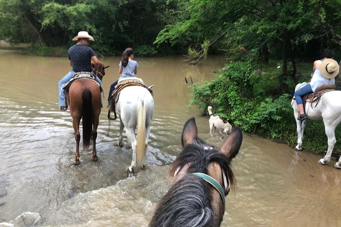 Horseback Riding Experience in Sierra Madre Mountains - The Cuale River Trail: Jungle Paths, River Crossings, and Rocky Ground