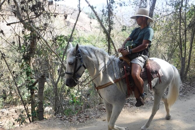 Horseback Riding Experience in Sierra Madre Mountains - Horses and Ride Quality: Well-Cared-For Animals and a Manageable Pace