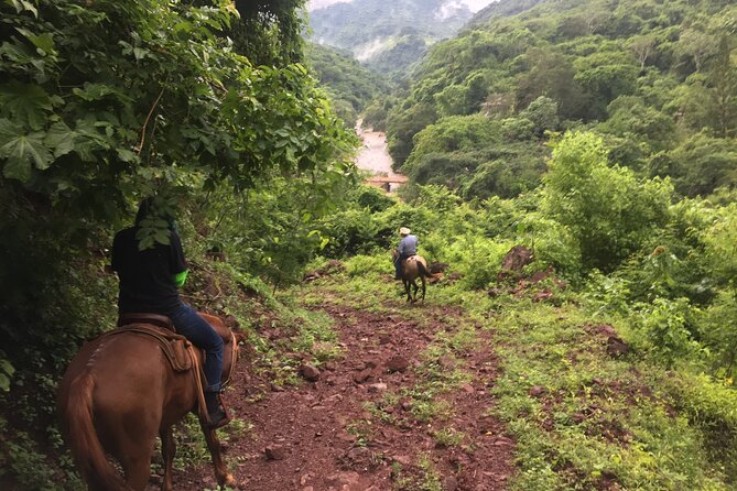 Horseback Riding Experience in Sierra Madre Mountains - Puente Colgante El Jorullo: The 150-Meter Bridge Walk on Foot