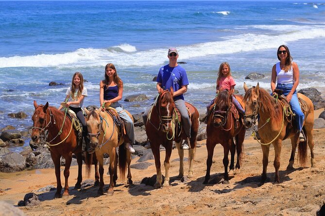 Horseback Riding in Sayulita - Practical logistics that actually matter in the moment