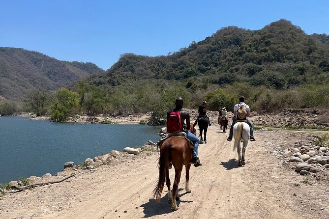 Horseback Riding & Swim: Tequila Tasting, BBQ & Margaritas - Hacienda Dona Engracia and Your Horse Match (The Start You Feel)