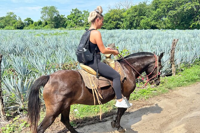 Horseback Riding & Swim: Tequila Tasting, BBQ & Margaritas - Hands-On Food Fun: BBQ Lunch and Salsa Time by the Pool