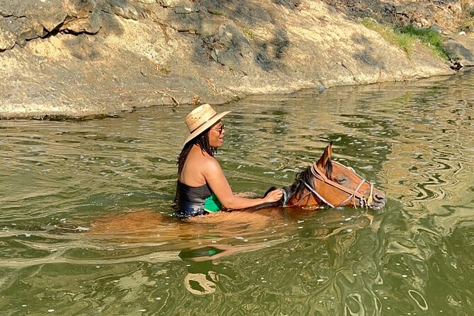 Horseback Riding & Swim: Tequila Tasting, BBQ & Margaritas - Transportation, Timing, and the Heat Reality Check