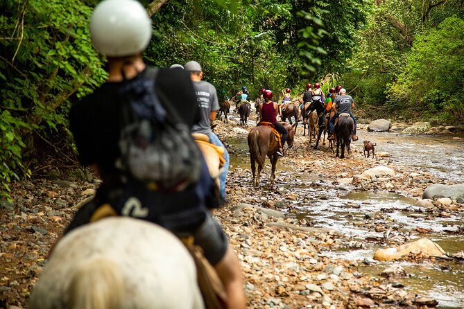 Horseback Riding Tour in Sierra Madre from Puerto Vallarta - What this costs and why it can still feel like a good value