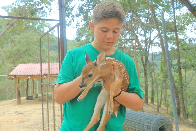 Hot Springs and Villages in the Sierra Madre for 4 hours - The ride in Los Llanitos: ATV or RZR in the Sierra Madre foothills