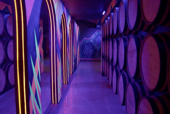 Immersive Experience & Tequila Tasting in Puerto Vallarta - The tequila-making process room: what changes between agave and the bottle