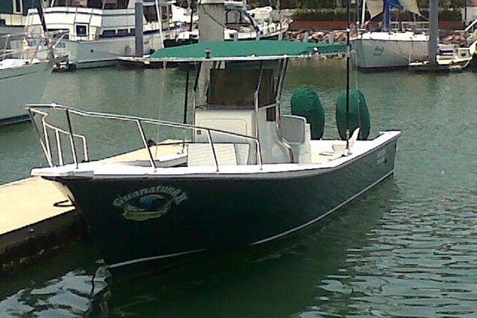 Inshore Fishing 4-Hour Puerto Vallarta Charter - Casting for Needlefish, Roosterfish, and More: Expect Variety