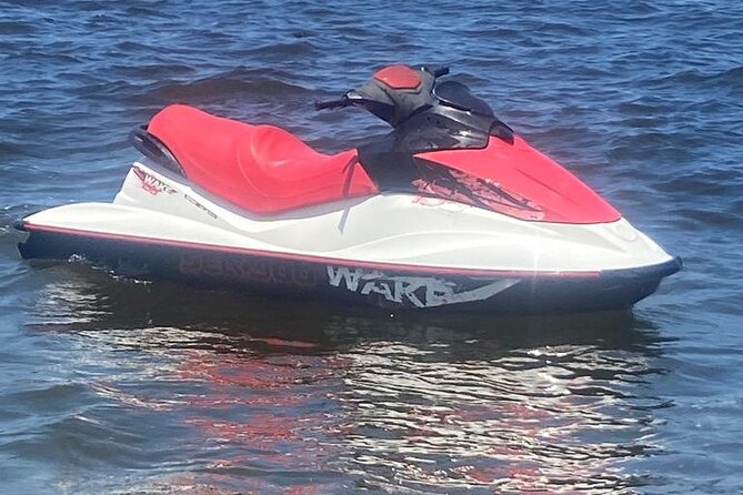 Jet Ski Jet Ski Rental in Puerto Vallarta - The Setup: Safety Briefing, Life Jackets, and a Two-Person Vehicle