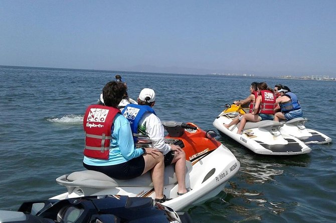 Jet Ski Safari in Puerto Vallarta - Wildlife Odds: Dolphins, Sea Turtles, Mantas, and More