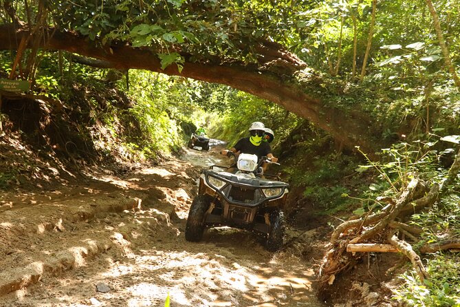 Jungle double ATV Tour "El Mirador" (ride tandem on ATV) - What the Guide Experience Is Like (Rico Matters)