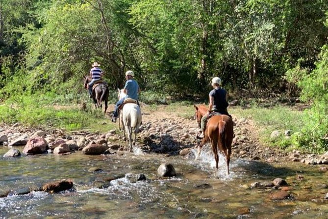 Jungle HorseBack Adventure to Las Palmas Waterfall All Included - First ride segment: mellow countryside riding from older Puerto Vallarta areas
