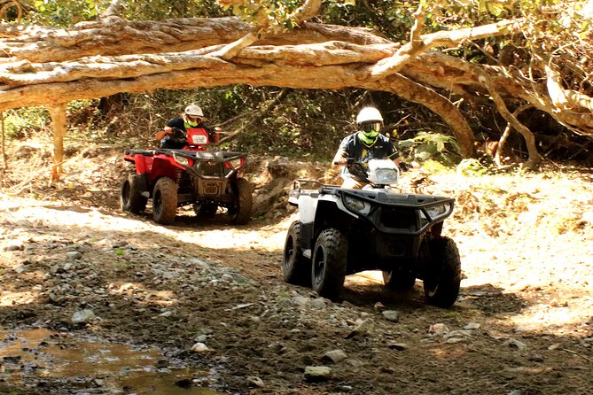Jungle Single ATV Tour "El Mirador" - The 2-hour ride: dust, creek beds, cows, and bumpy fun