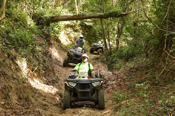 Jungle Single ATV Tour "El Mirador" - Views, wildlife spotting, and photo stops you shouldn’t rush past
